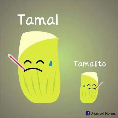 Tamalito Tamal y Tamalito Memes y ms Pinterest