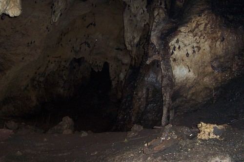 Tamana caves httpsmw2googlecommwpanoramiophotosmedium