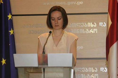 Tamar Sanikidze CivilGe Incoming Education Minister Named