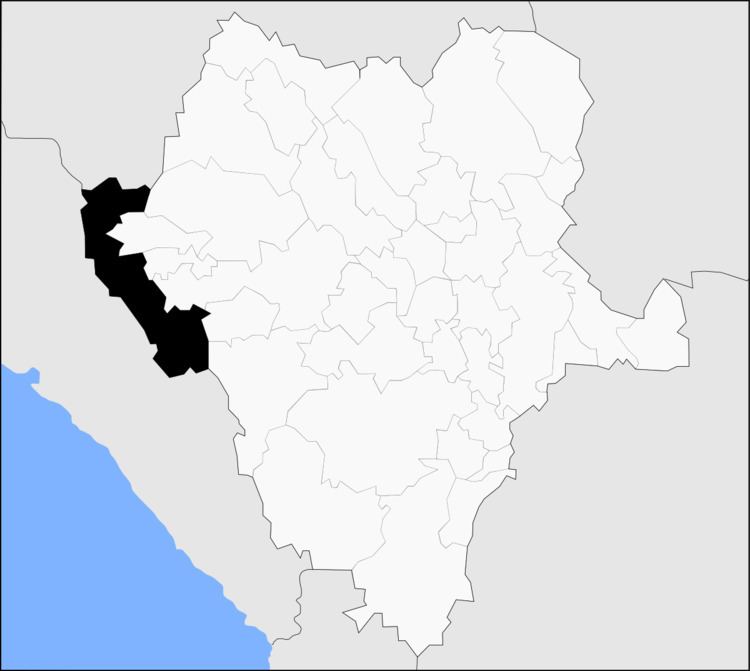 Tamazula Municipality