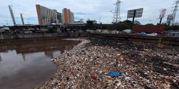 Tambora, Jakarta Camat Tambora Sindir Dinas Kebersihan soal Sampah Kompascom