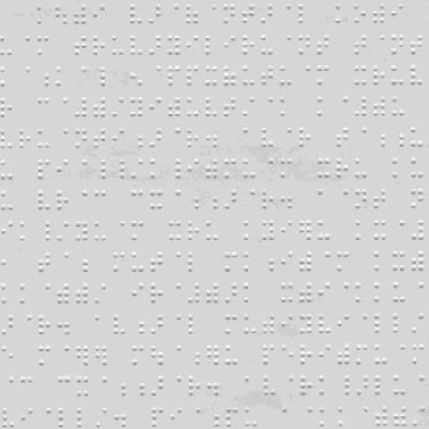 Tamil Braille