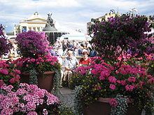 Tampere Floral Festival httpsuploadwikimediaorgwikipediacommonsthu