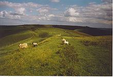 Tan Hill, Wiltshire httpsuploadwikimediaorgwikipediacommonsthu