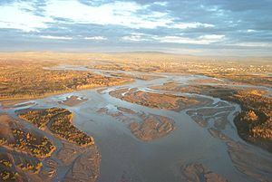 Tanana River httpsuploadwikimediaorgwikipediacommonsthu