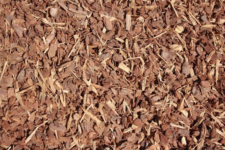 Tanbark Tan Bark 12 inch Elcho Garden Supplies