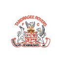 Tandragee Rovers F.C. httpsuploadwikimediaorgwikipediaencc1Tan