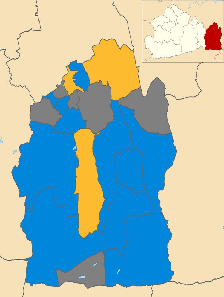 Tandridge District Council election, 2002