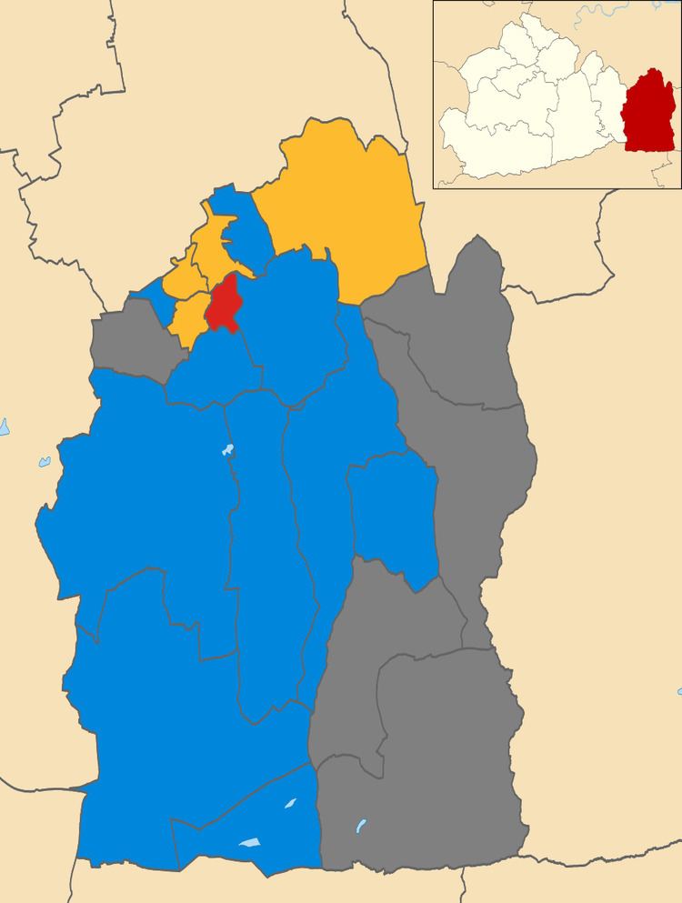 Tandridge District Council election, 2004