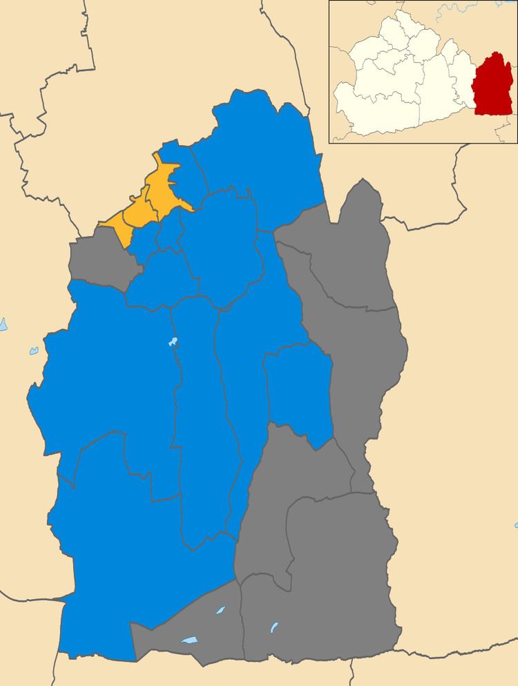 Tandridge District Council election, 2008