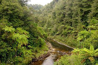 Tangarakau River httpsuploadwikimediaorgwikipediacommonsthu