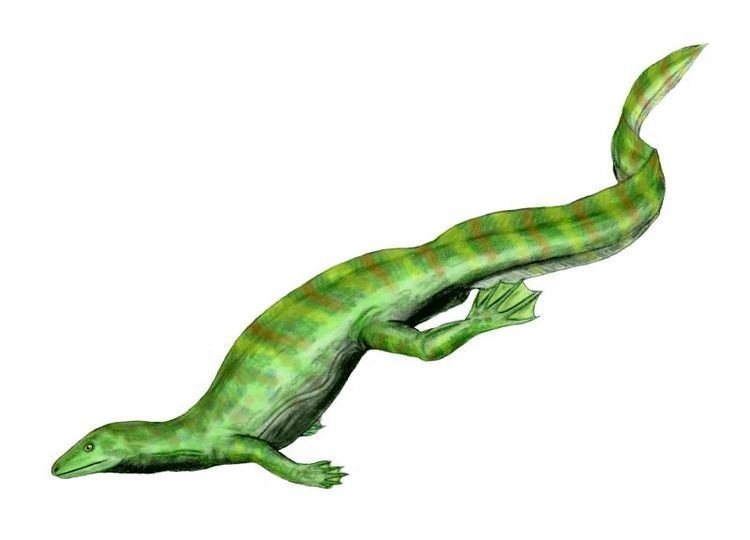 Tangasauridae