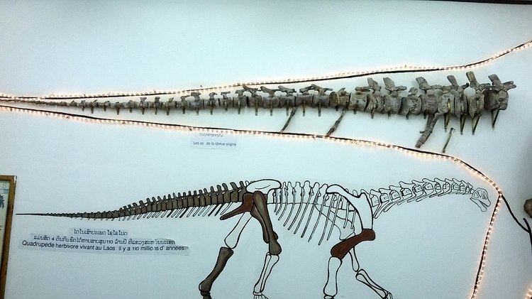 Tangvayosaurus Tangvayosaurus Wikipedia