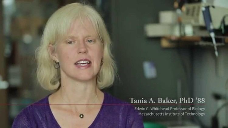 Tania A. Baker Tania A Baker PhD 88 YouTube