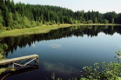 Tanner Moor Liebenau RiSKommunal zurck zur Startseite GEMEINDELEBEN