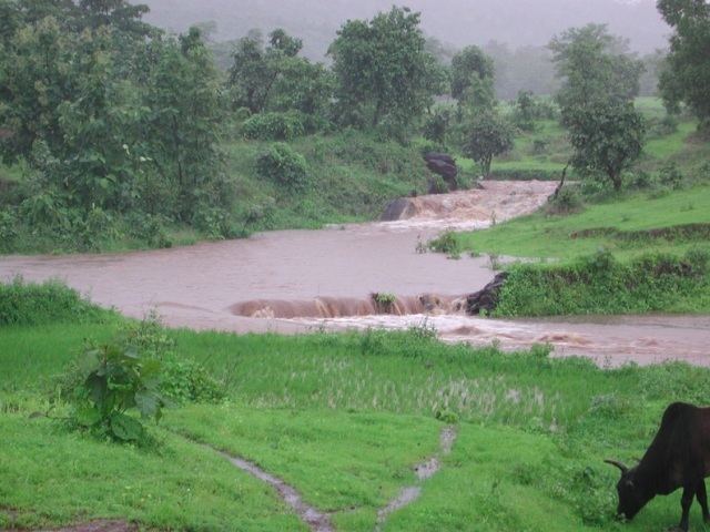 Tansa River sukhbhumiorgwpcontentgallerytansariverwater