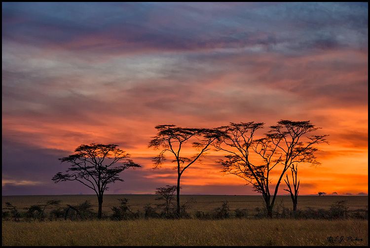 Tanzania Beautiful Landscapes of Tanzania