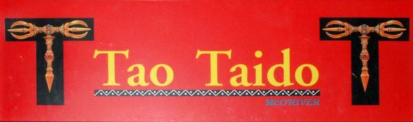 Ta•o Taido Tao Taido Videogame by Video System Co Ltd