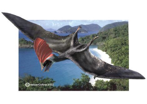 Tapejara (pterosaur) Pterosaur Pterodactyls Tapejara