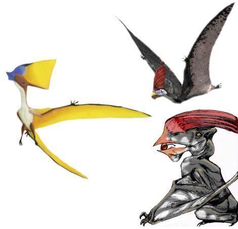 Tapejara (pterosaur) dinosaurusicom Pterosaur Pterodactyls Tapejara