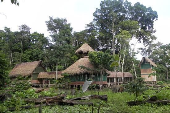 Tapiche Reserve Tapiche Reserve Picture of Tapiche Reserve Iquitos TripAdvisor