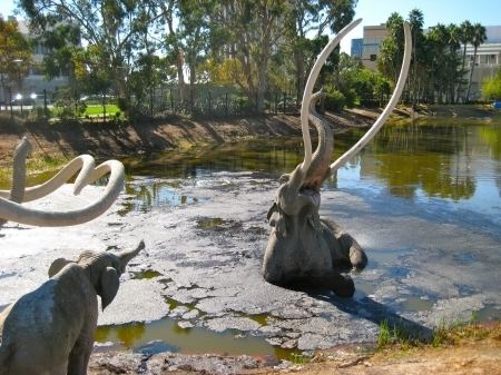 Tar pit Deathstination The LaBrea Tar Pits The Order of the Good Death