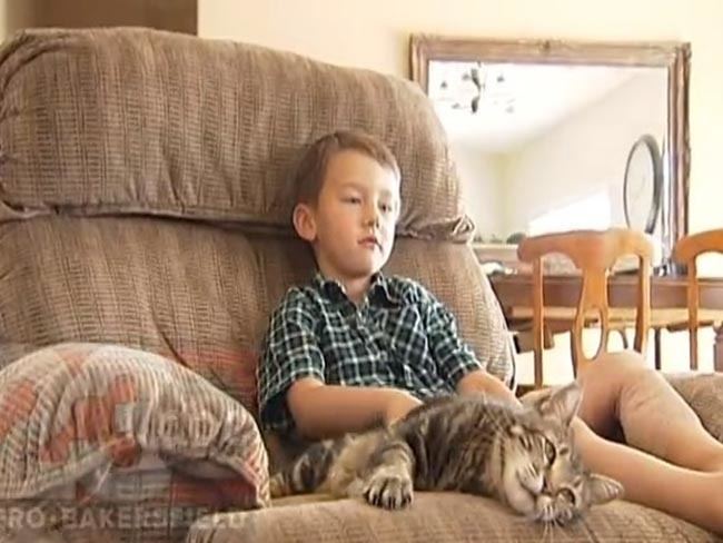 Tara (cat) Tara the wonder cat saves little boy from terrifying dog attack