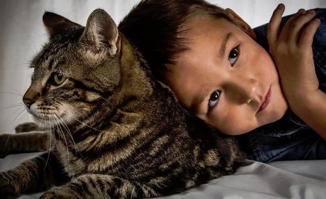 Tara (cat) Tara The Cat Wins 39Hero Dog39 Award For Saving Autistic Boy From Attack