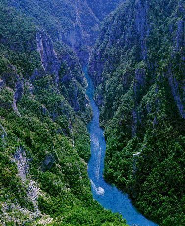 Tara River Canyon GC1CZFN The Tara River Canyon Earthcache in Montenegro created by