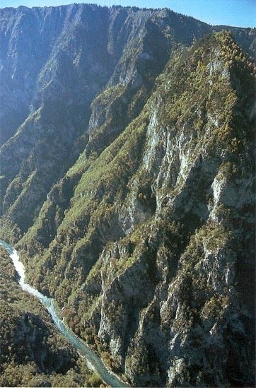 Tara River Canyon httpsuploadwikimediaorgwikipediacommons44