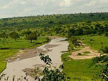 Tarangire River httpsuploadwikimediaorgwikipediacommonsthu
