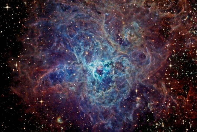 Tarantula Nebula APOD 2008 November 11 The Cosmic Web of the Tarantula Nebula