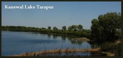 Tarapur, Gujarat wwwnrigujaraticoinimagesKanewalLakePhotosN