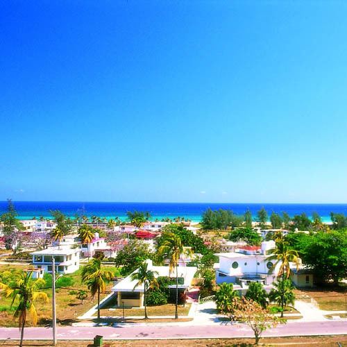 Tarará httpsuploadwikimediaorgwikipediaen663Pla