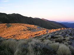 Tararua Range httpsuploadwikimediaorgwikipediacommonsthu