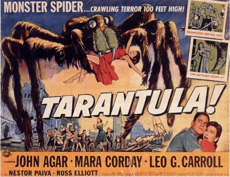 Tarantula (film) movie scenes TARANTULA Rating Film Production Credits