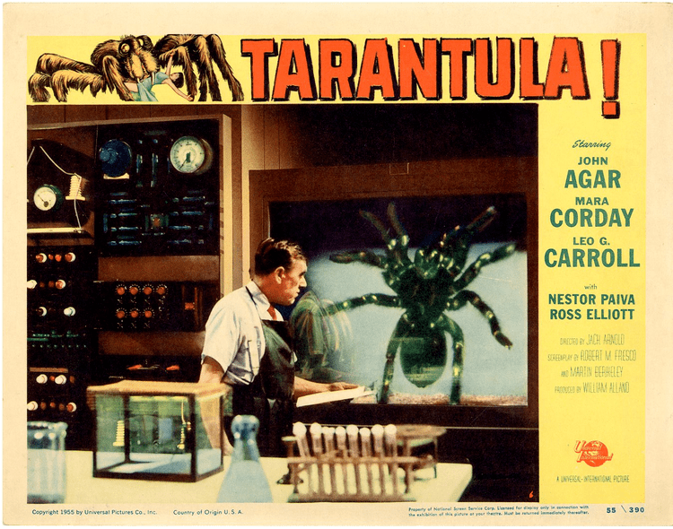 Tarantula (film) movie scenes  and a caged tarantula many times its normal size after 22 days treatment Notice how its size and rapid rate of growth is emphasized by the visual 