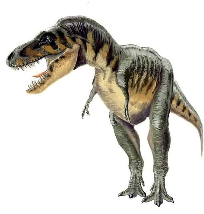 Tarbosaurus wwwnhmacukresourcesnatureonlinelifedinosau