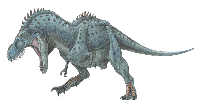 Tarbosaurus Tarbosaurus bataar aka Tyrannosaurus bataar a vicious meateating