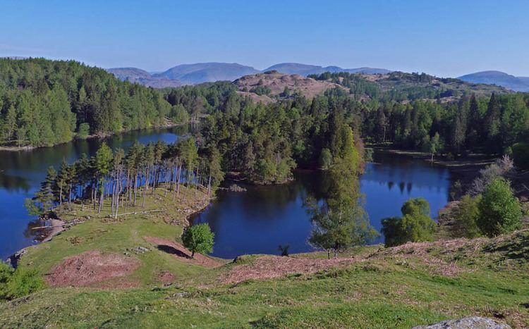 Tarn Hows wwwvisitcumbriacomwpcontentgalleryconistont