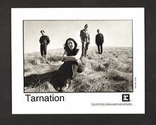 Tarnation (band) httpsuploadwikimediaorgwikipediaenthumb8