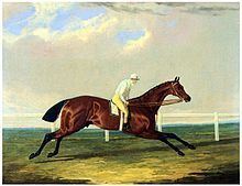 Tarrare (horse) httpsuploadwikimediaorgwikipediacommonsthu