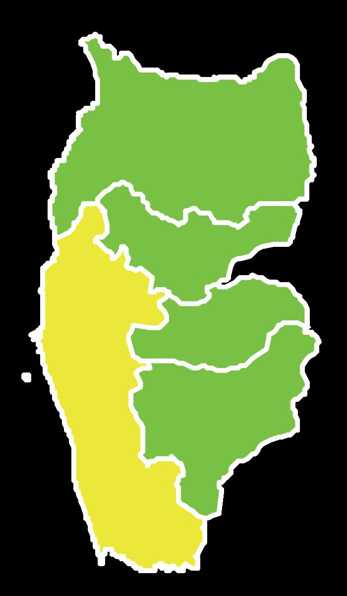 Tartus District