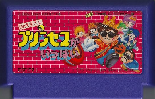Tashiro Masashi no Princess ga Ippai Famicom T Retro Video Gaming