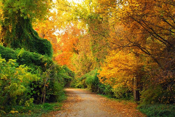 Tashkent Beautiful Landscapes of Tashkent