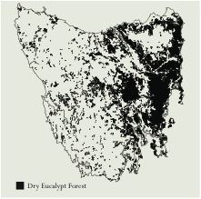Tasmanian dry sclerophyll forests
