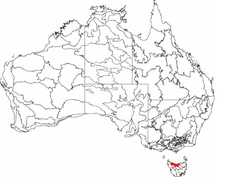 Tasmanian Northern Slopes