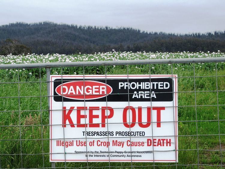 Tasmanian opium poppy farming industry