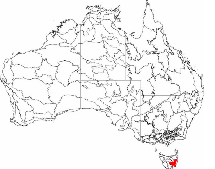 Tasmanian South East
