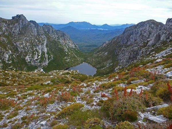 Tasmanian Wilderness World Heritage Area wwwthinktasmaniacomwpcontentuploadstasmania